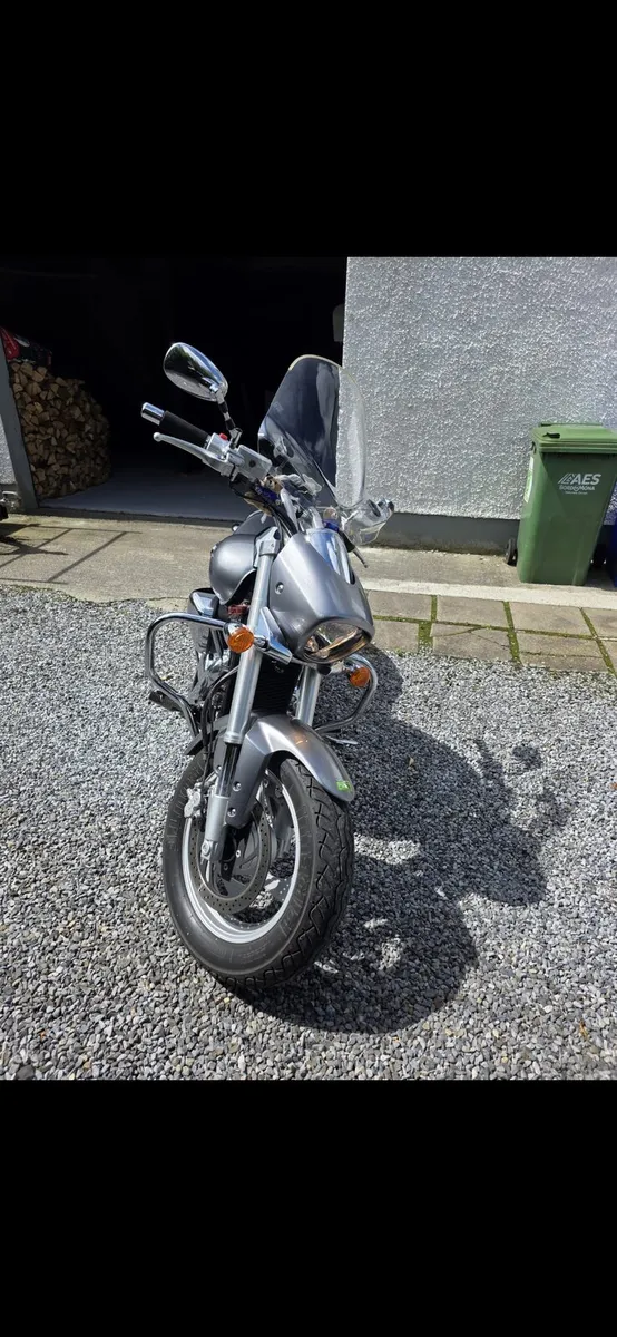 Suzuki intruder - Image 4