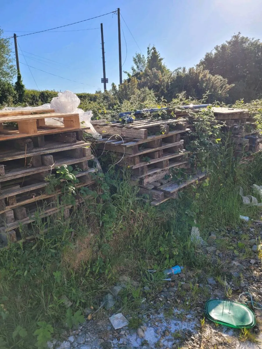 Pallets/firewood free to take away - Image 1