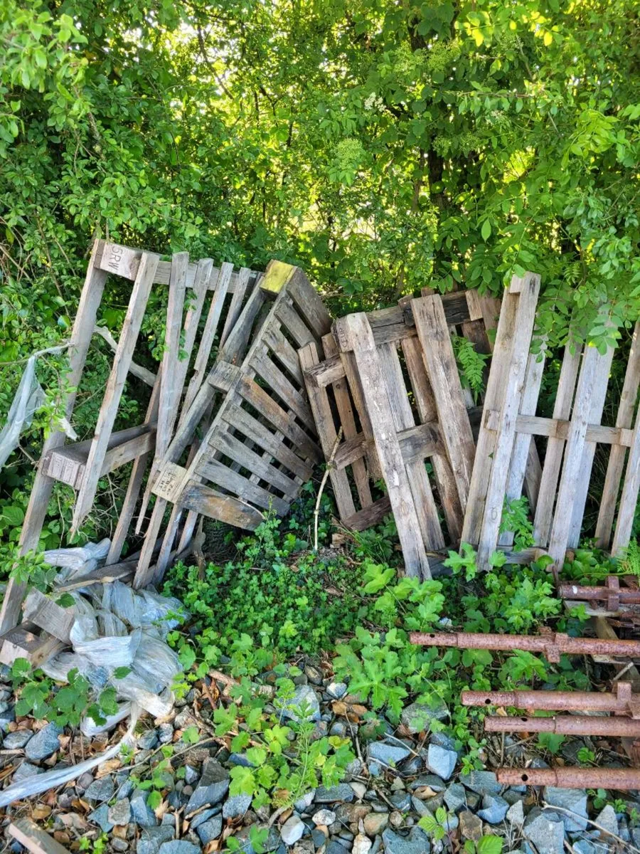 Pallets/firewood free to take away - Image 2
