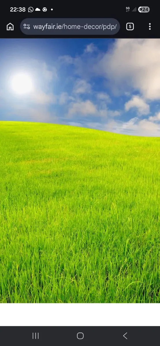 Grazing available