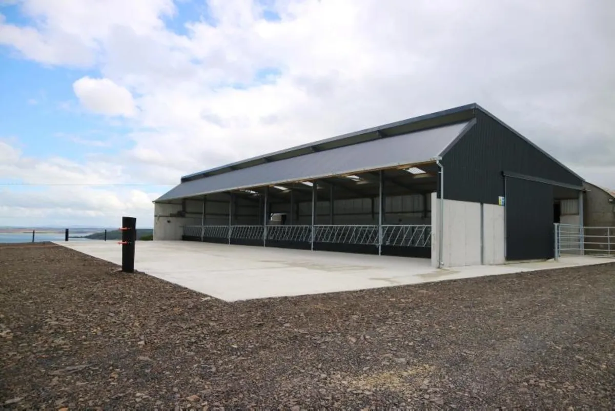 Slatted shed wanted