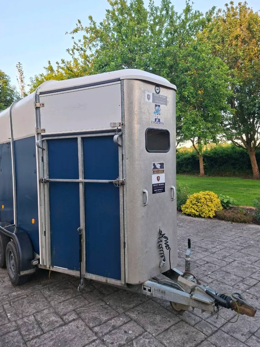 Ifor williams 505 horse box - Image 2