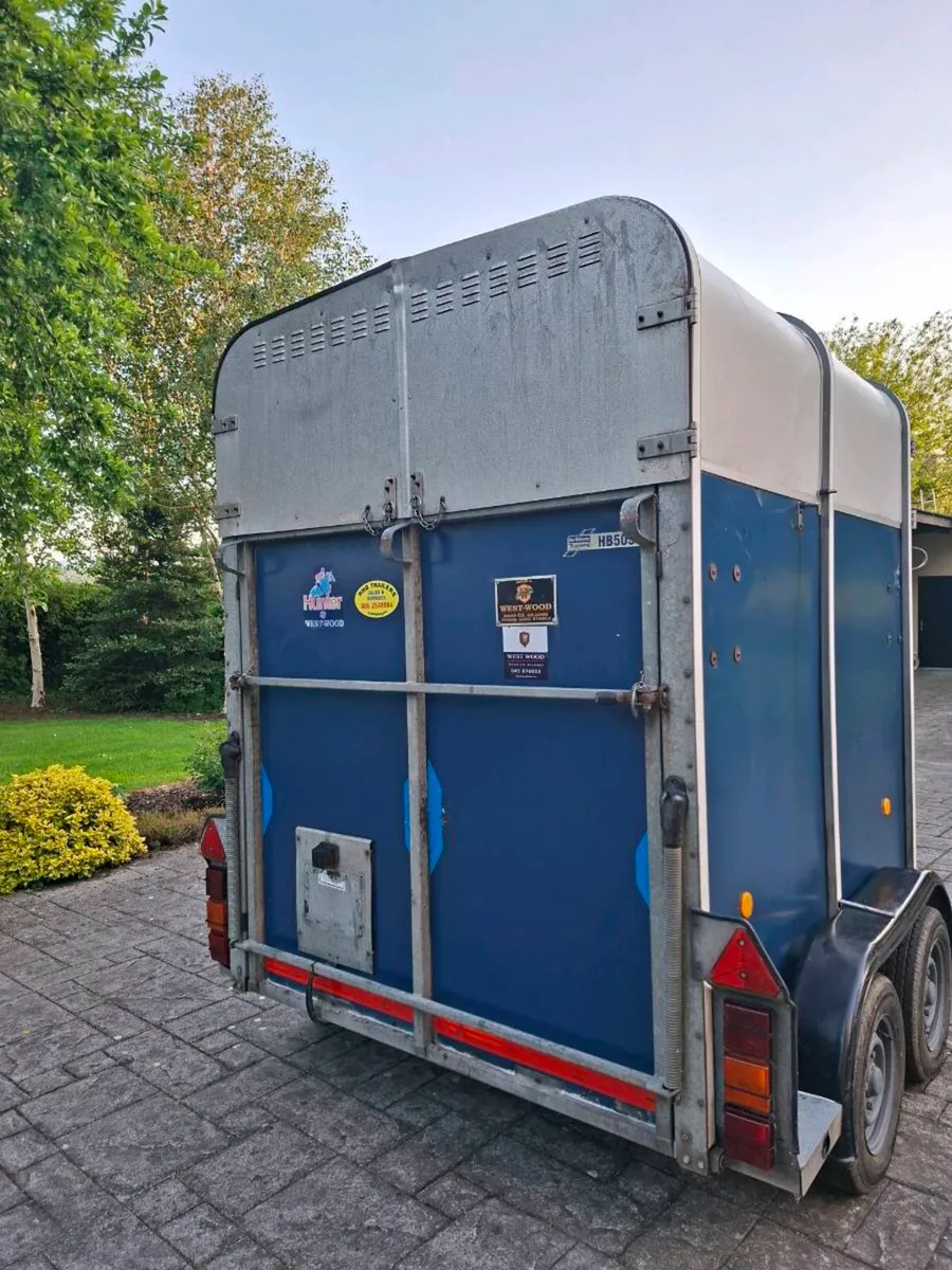 Ifor williams 505 horse box - Image 4