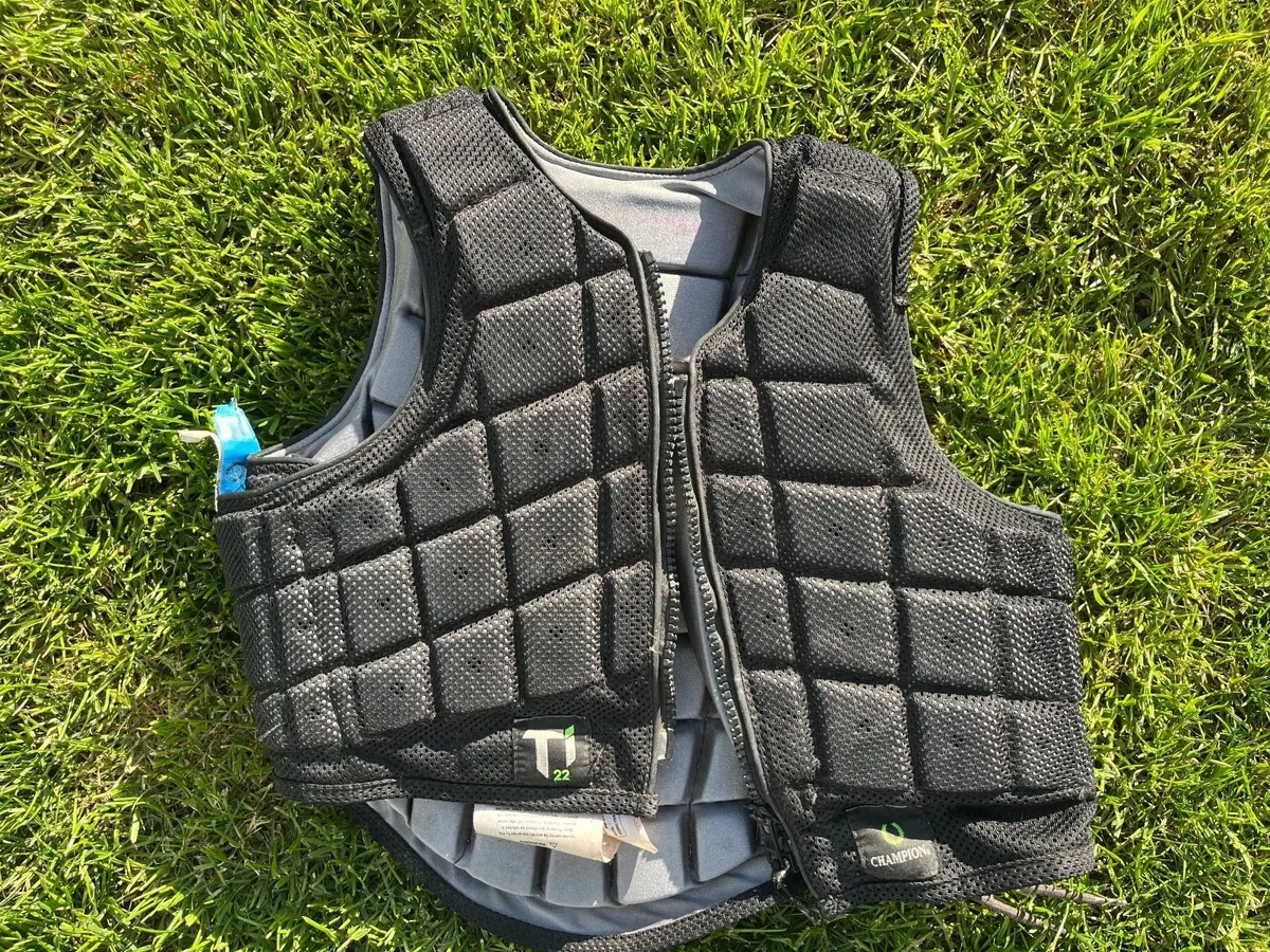 Horse riding back protector - Image 2