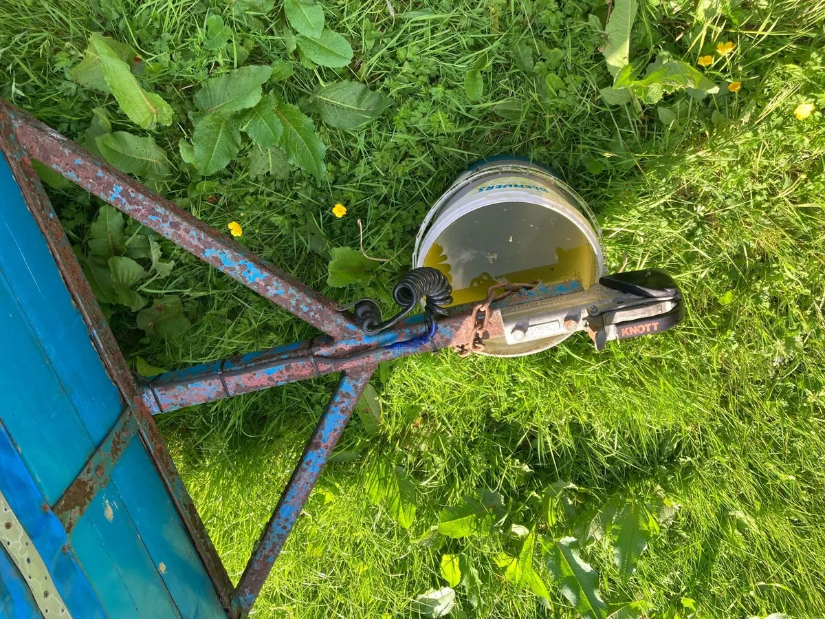 Calf trailer - Image 3