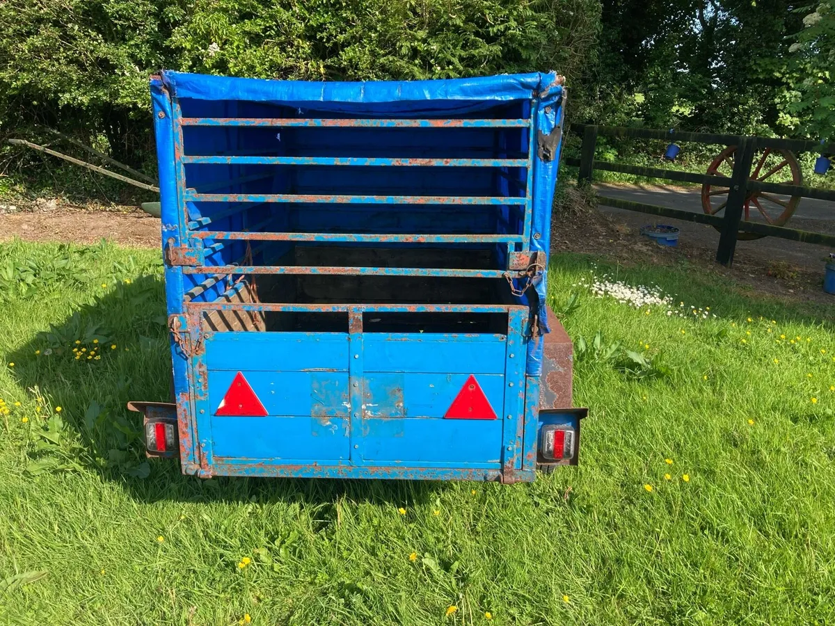Calf trailer - Image 2