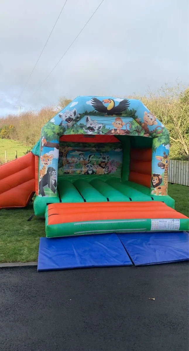 Bouncy Castles - Image 4