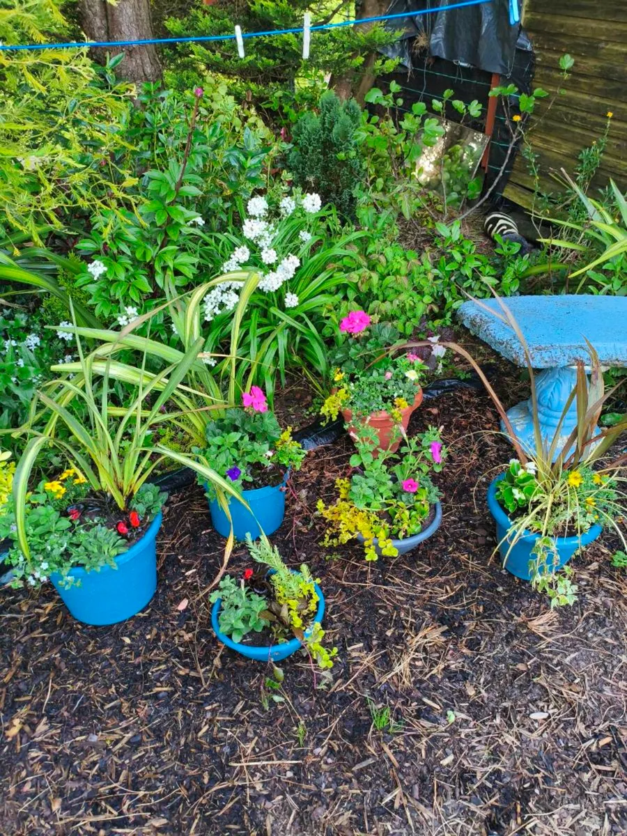 Beautiful set pots lot 100 euro freshly made . - Image 2
