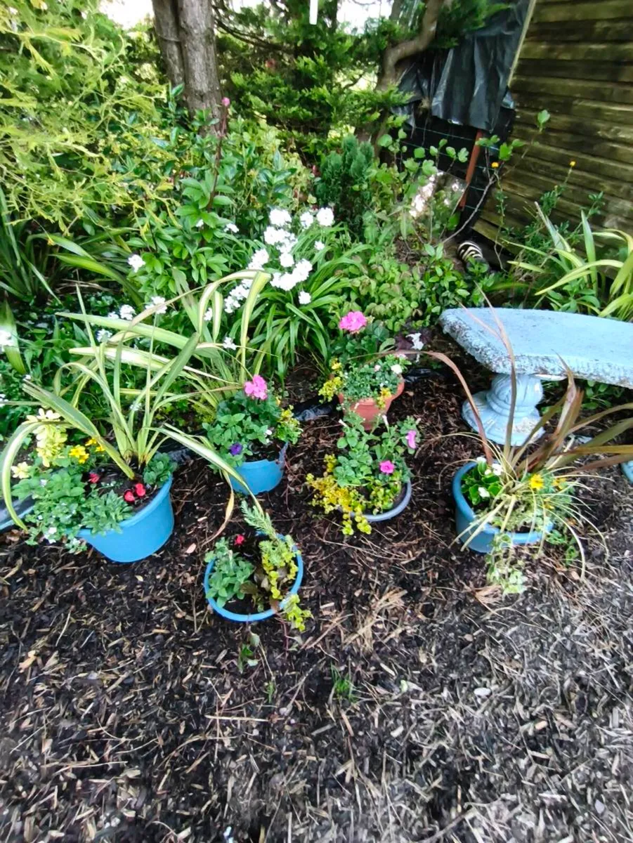 Beautiful set pots lot 100 euro freshly made . - Image 3