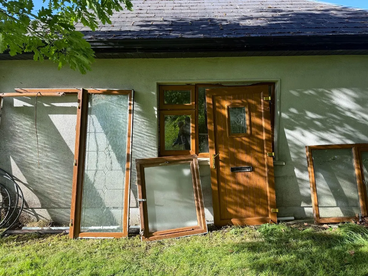 Front Entryway Doors and Windows - Image 1