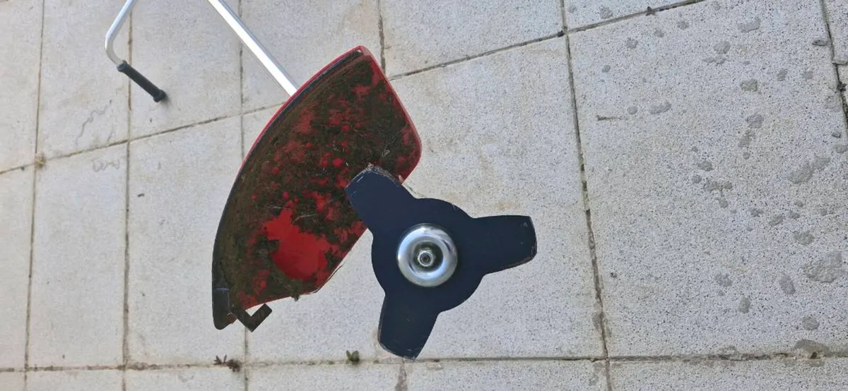 Dargan petrol Strimmer - Image 3