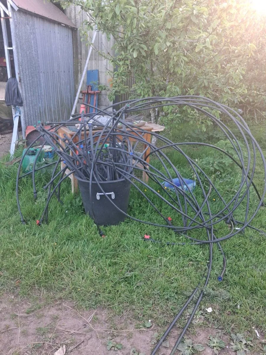 Irrigation  for. Pollytunnel - Image 2