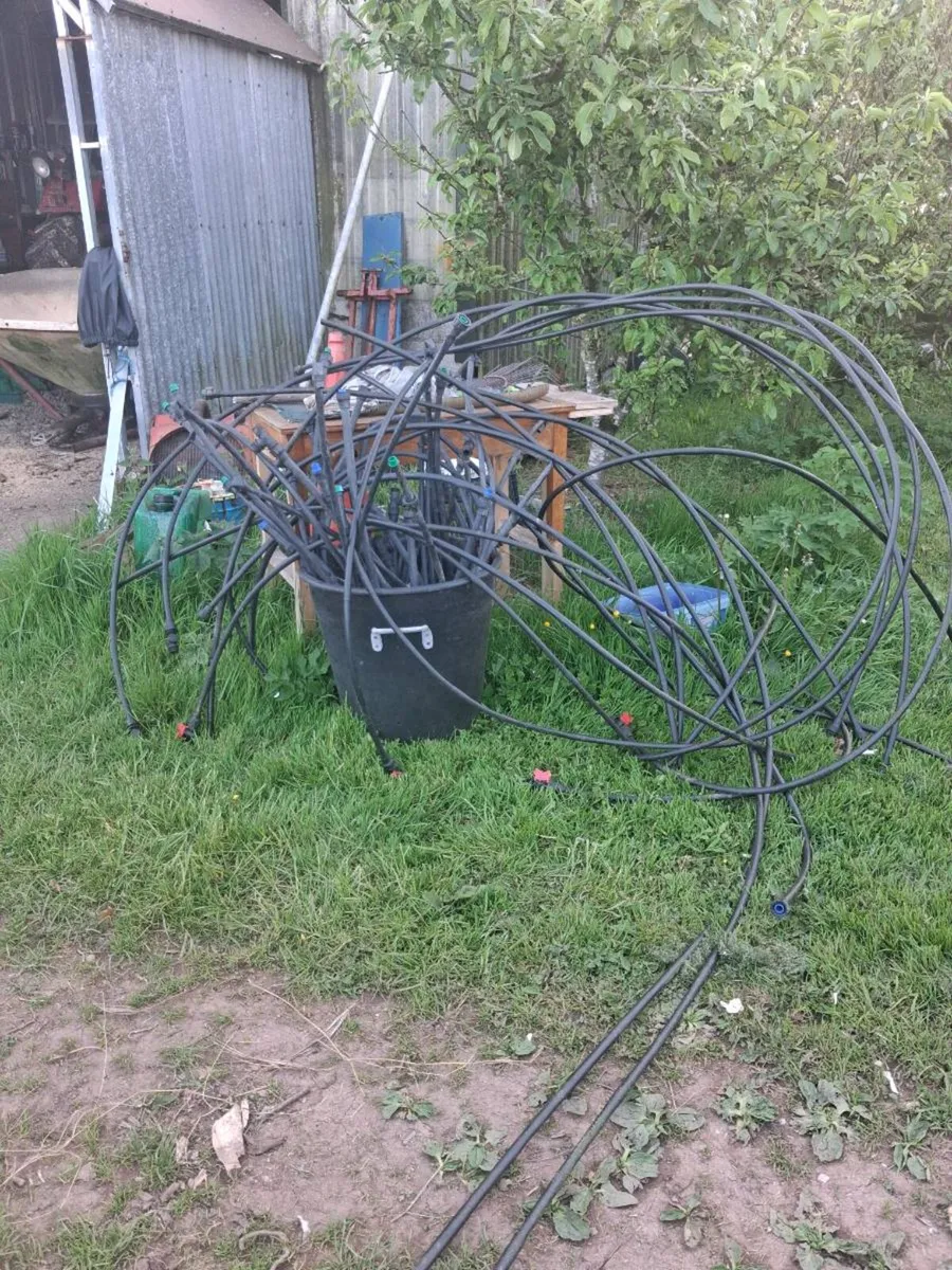 Irrigation  for. Pollytunnel - Image 1