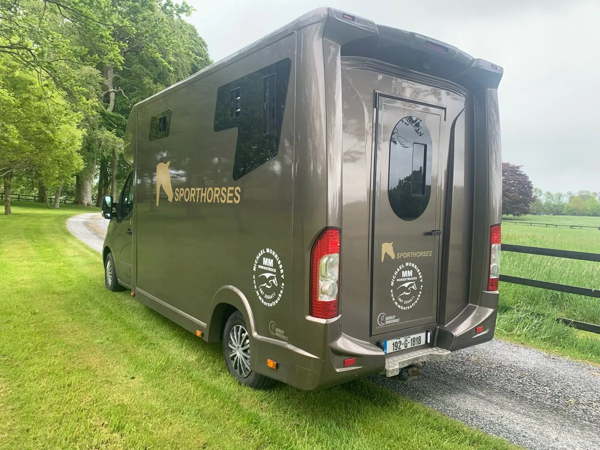 2019 two horse Vauxhall Movano 3.5 tonne - Image 2
