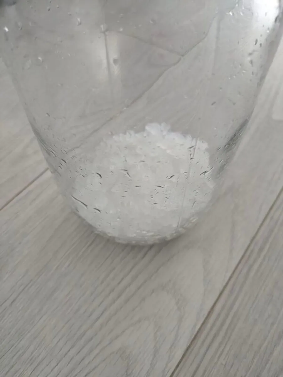 Live Water Kefir Grains  Fresh  Active - Image 3