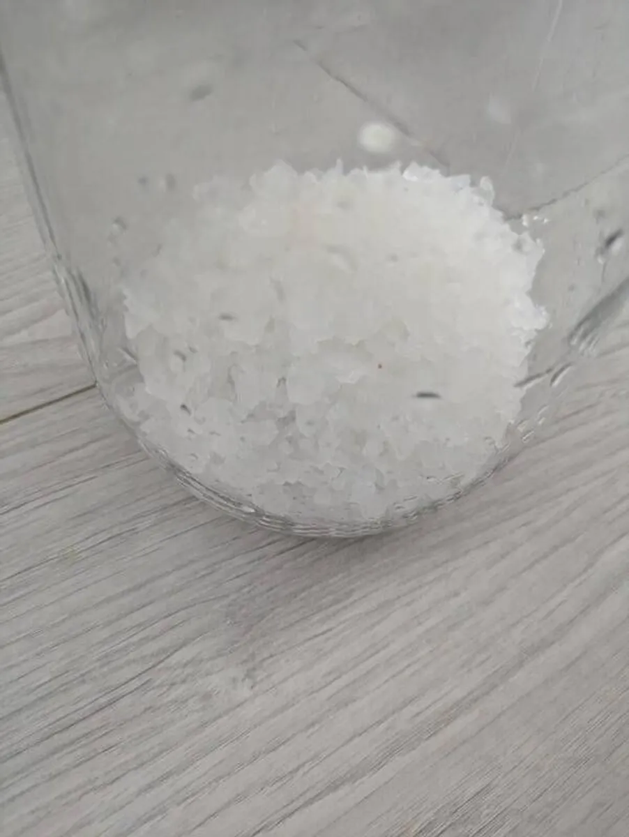 Live Water Kefir Grains  Fresh  Active - Image 1