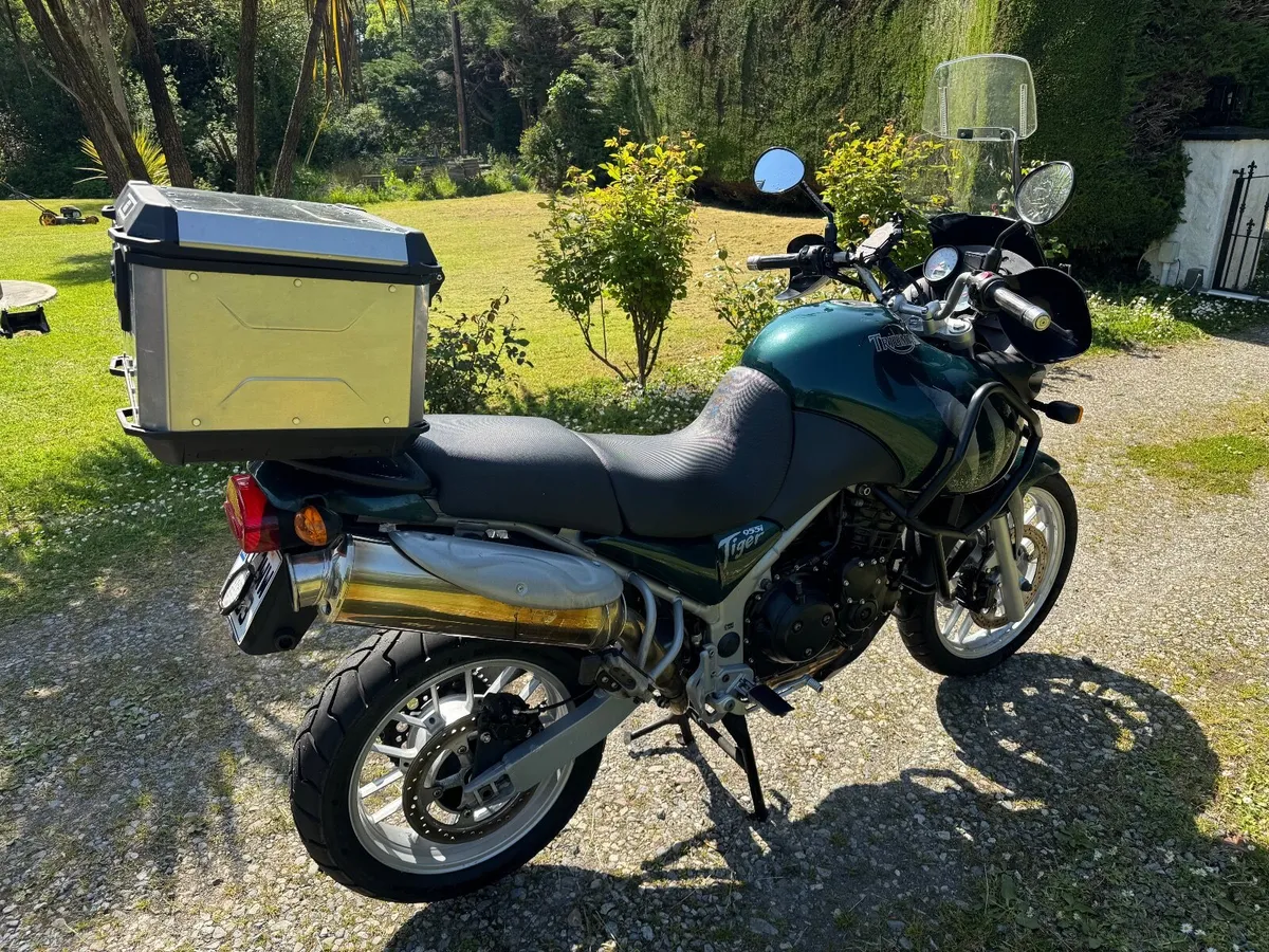 Triumph Tiger 955i - Image 1