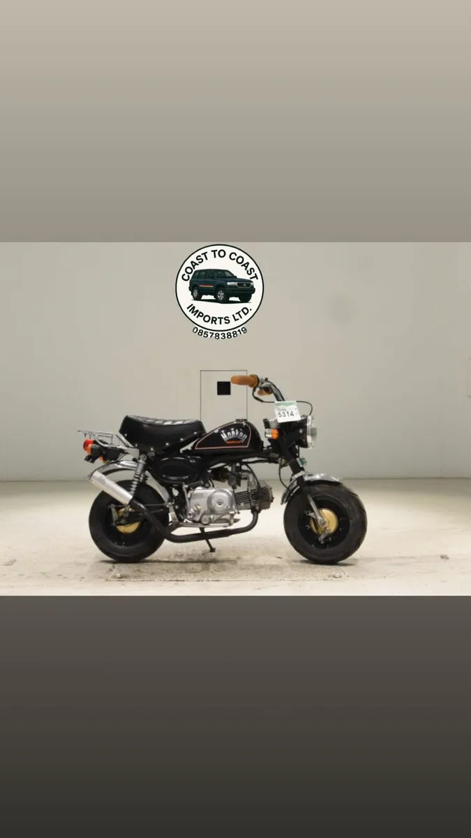 1981 Honda Monkey - Image 1