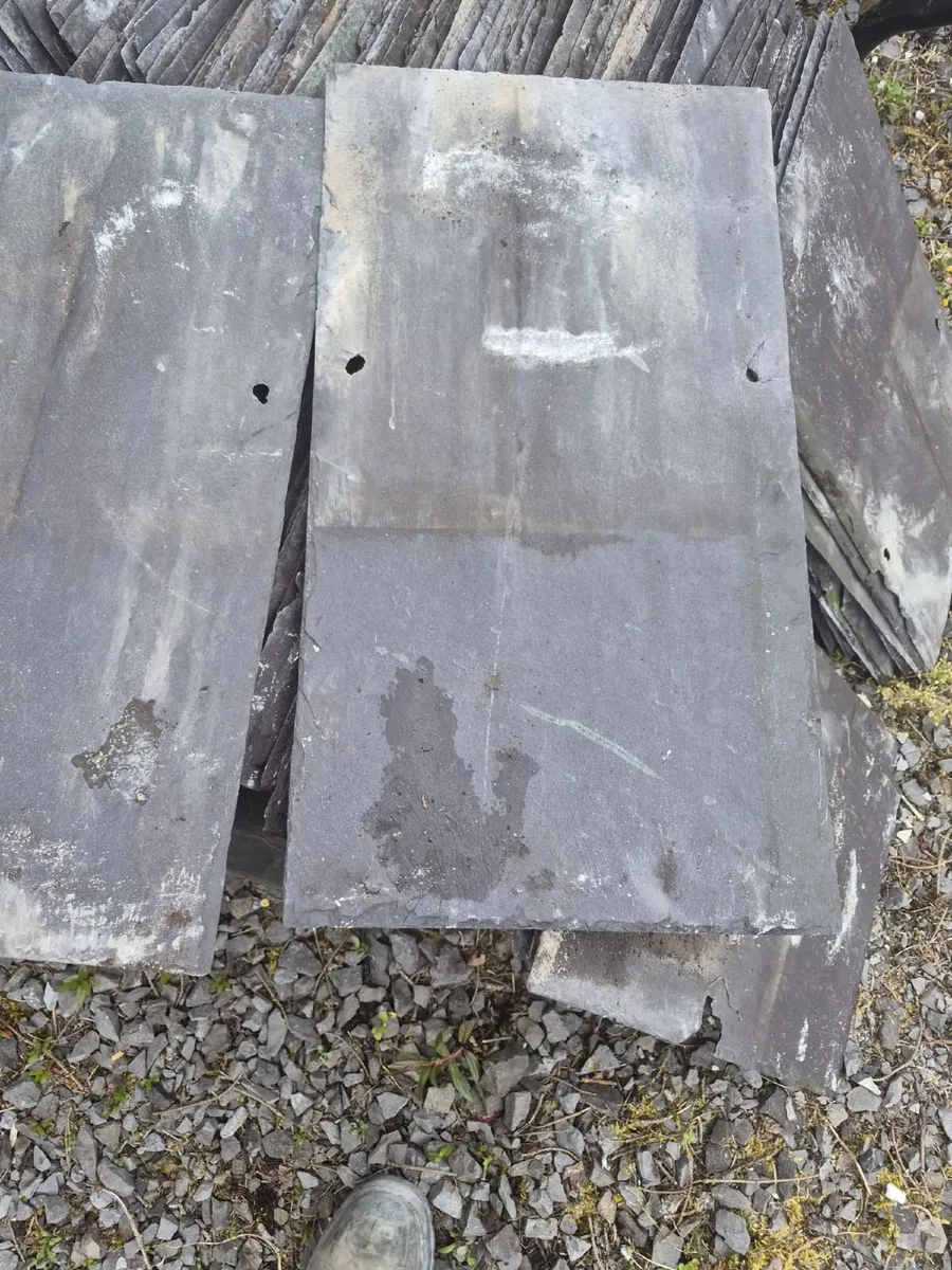 Bangor Blue Slates for sale - Image 1