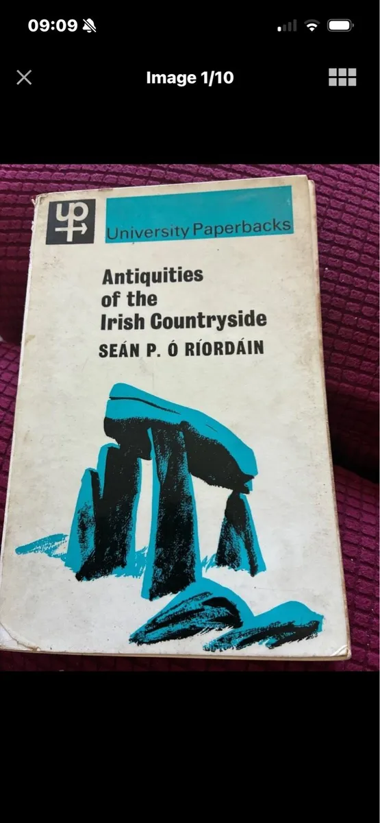 Antiquities of Irish Countryside - Image 1