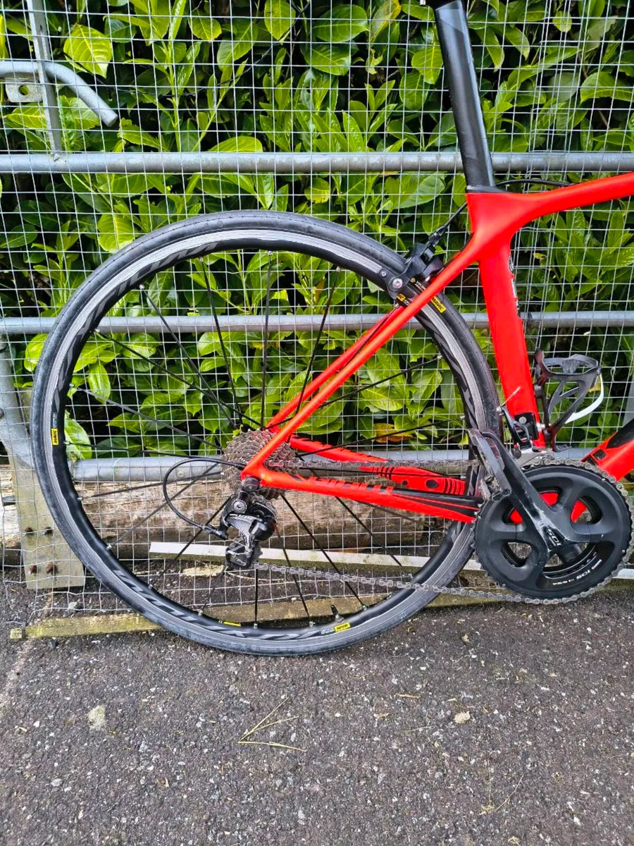 Giant tcr advanced - Image 2