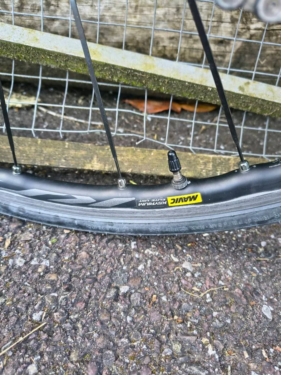 Giant tcr advanced - Image 3