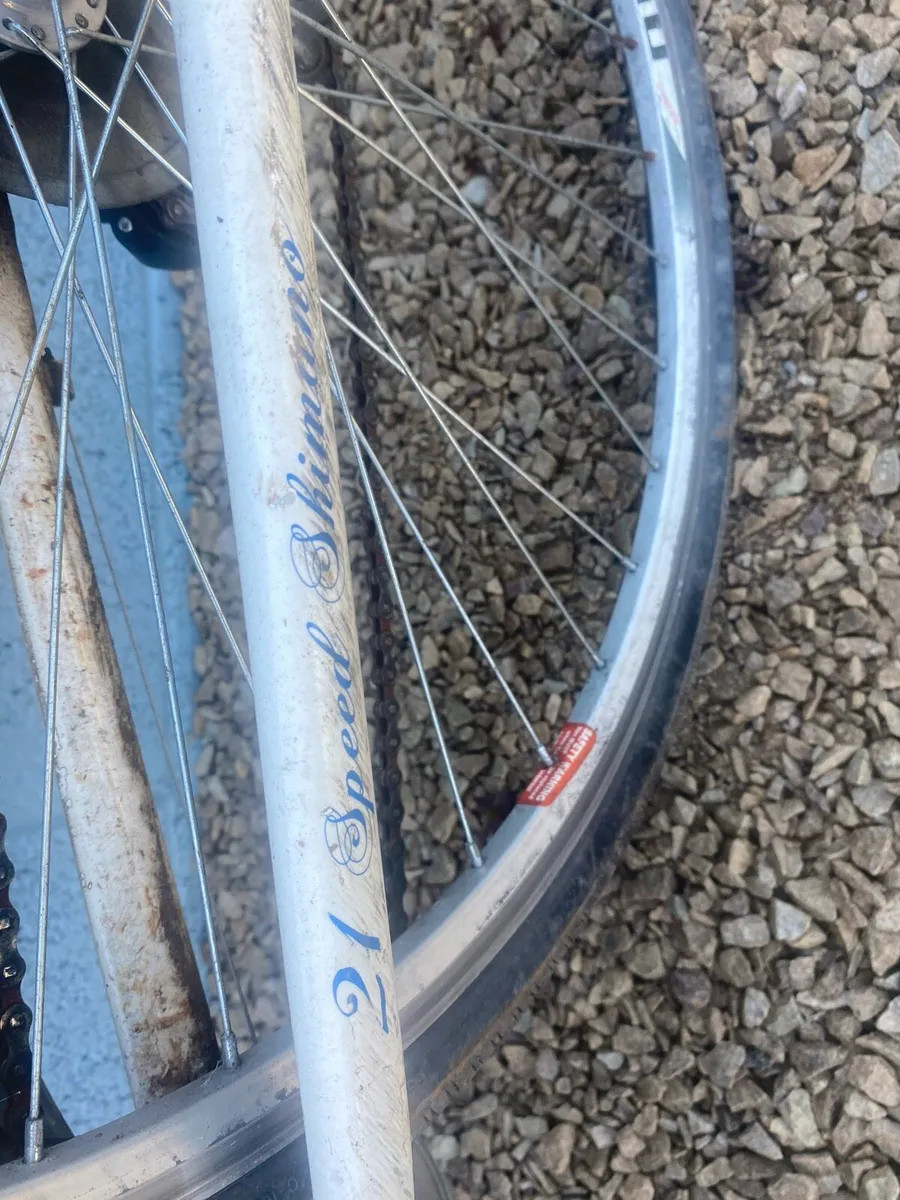 Three Bicycles - Image 4