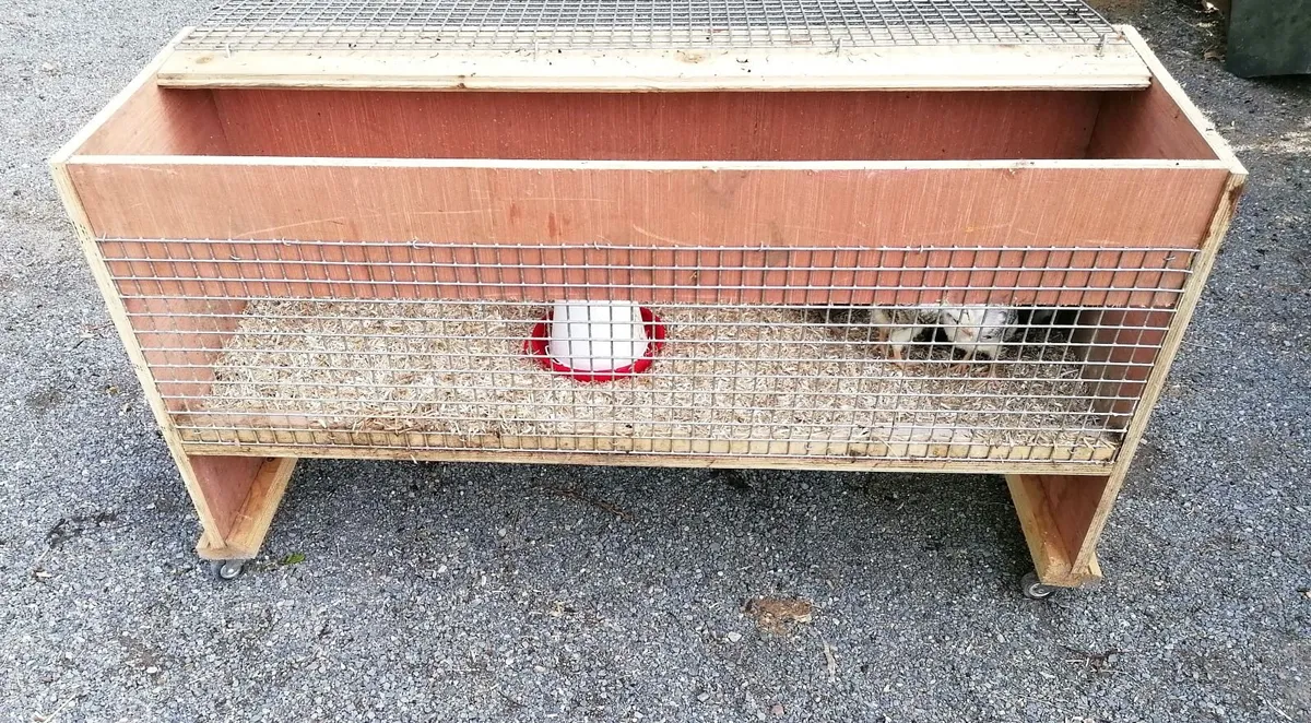 Hatching box on Wheels - Image 1