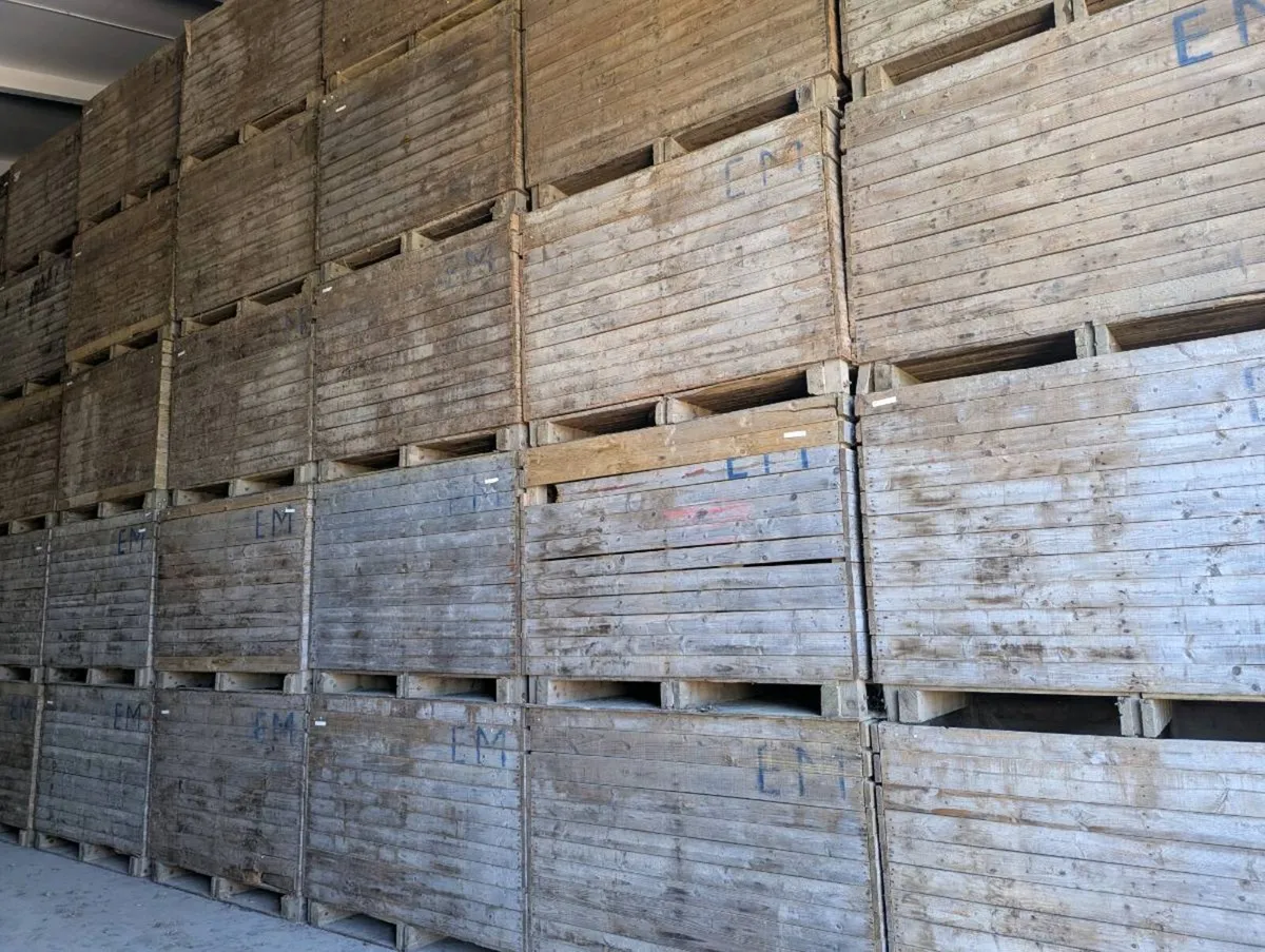 Potato boxes - Image 2