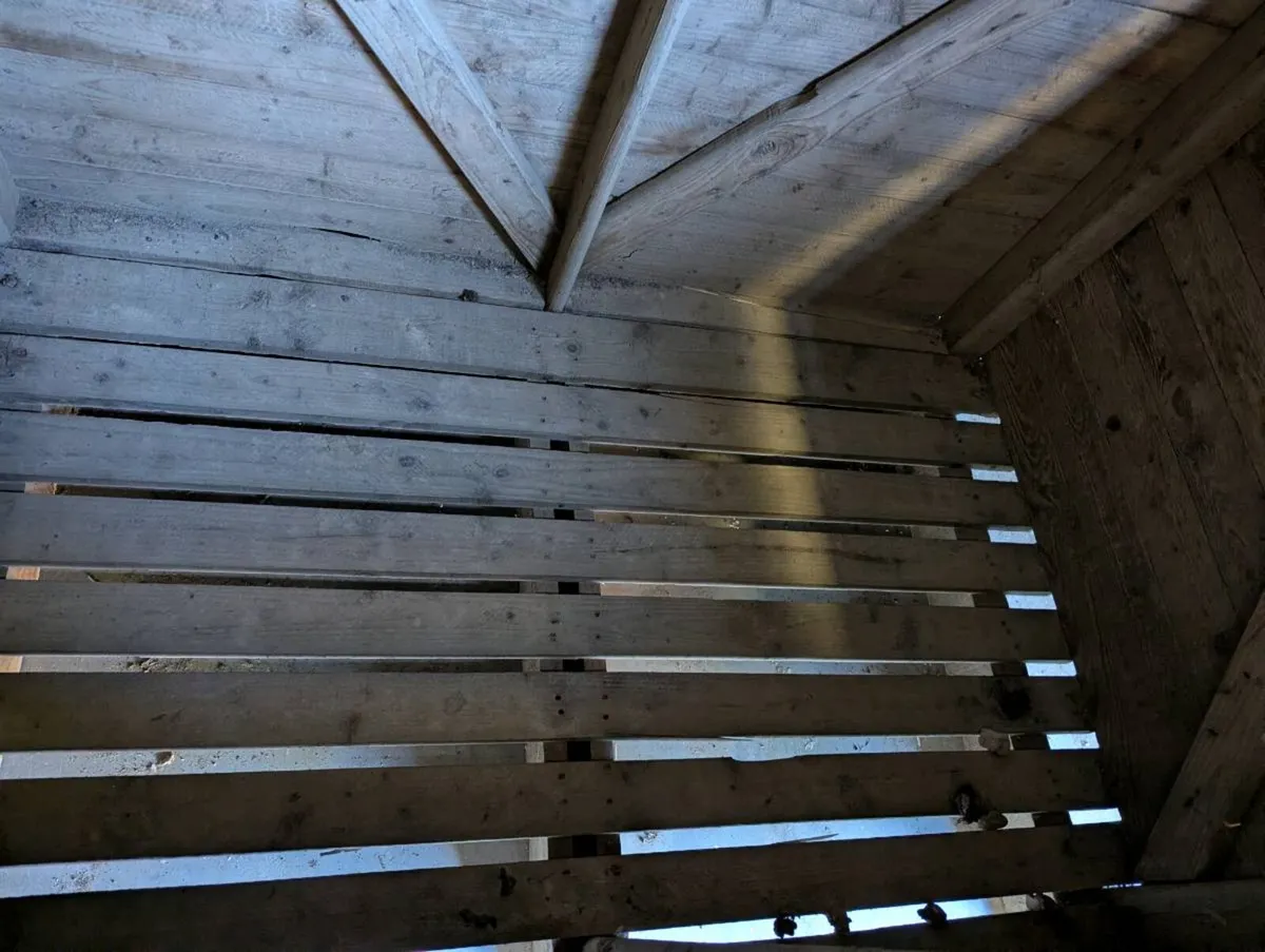 Potato boxes - Image 3