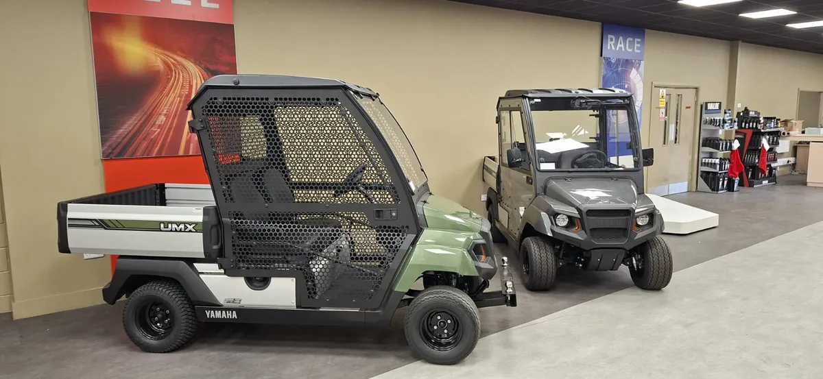 Utility vehicles golf buggy - Image 4