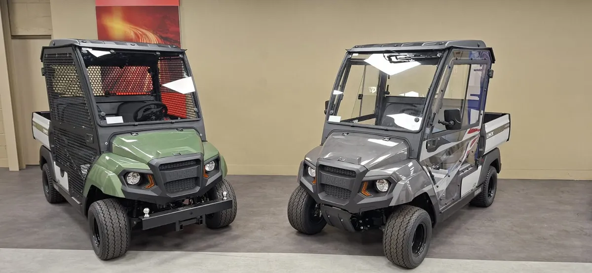 Utility vehicles golf buggy - Image 2