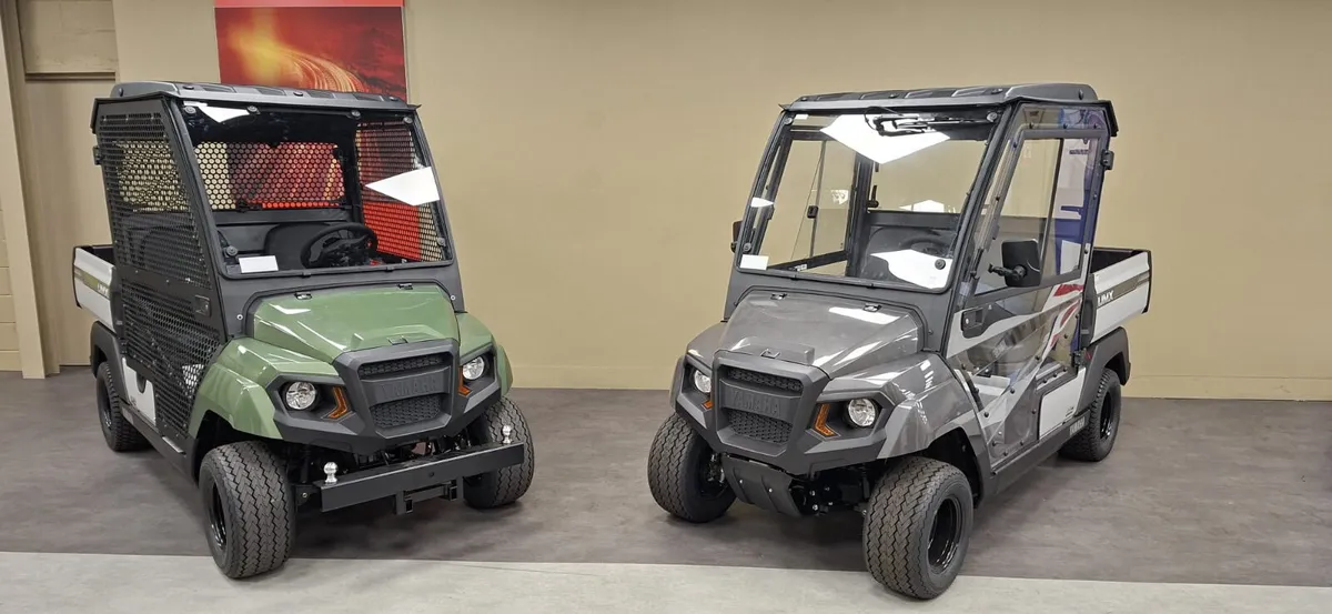 Utility vehicles golf buggy - Image 1