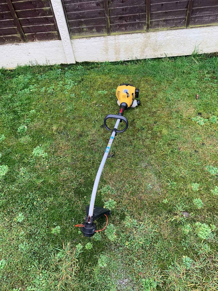 Strimmer - Image 1