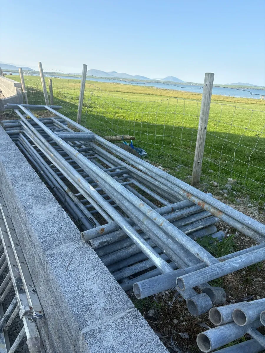 Scaffolding - Image 1