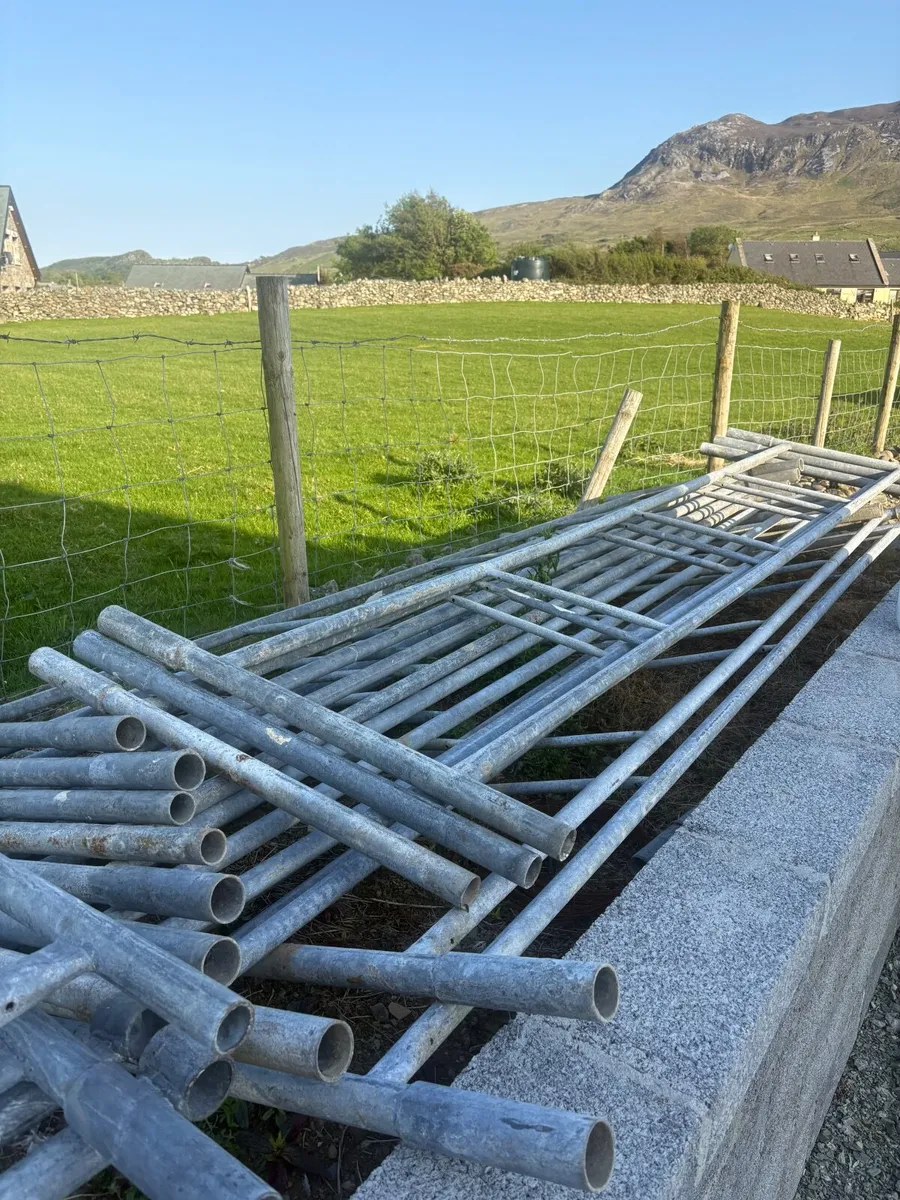Scaffolding - Image 2