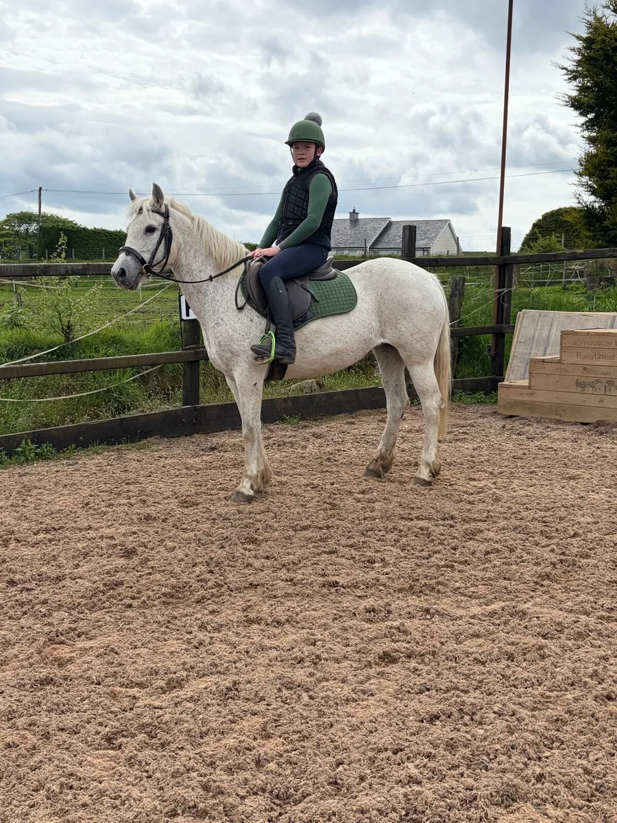 RC/ PC pony - Image 1