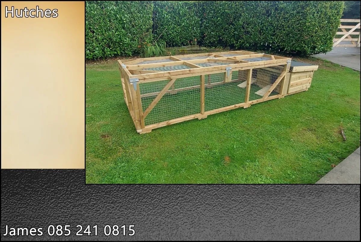 Rabbit Hutch & Enclosure - Image 1