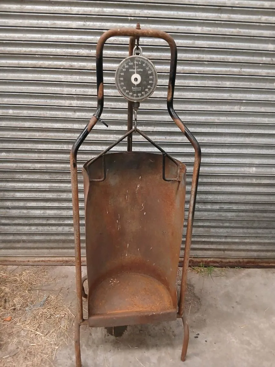 Lamb weighing scales - Image 1