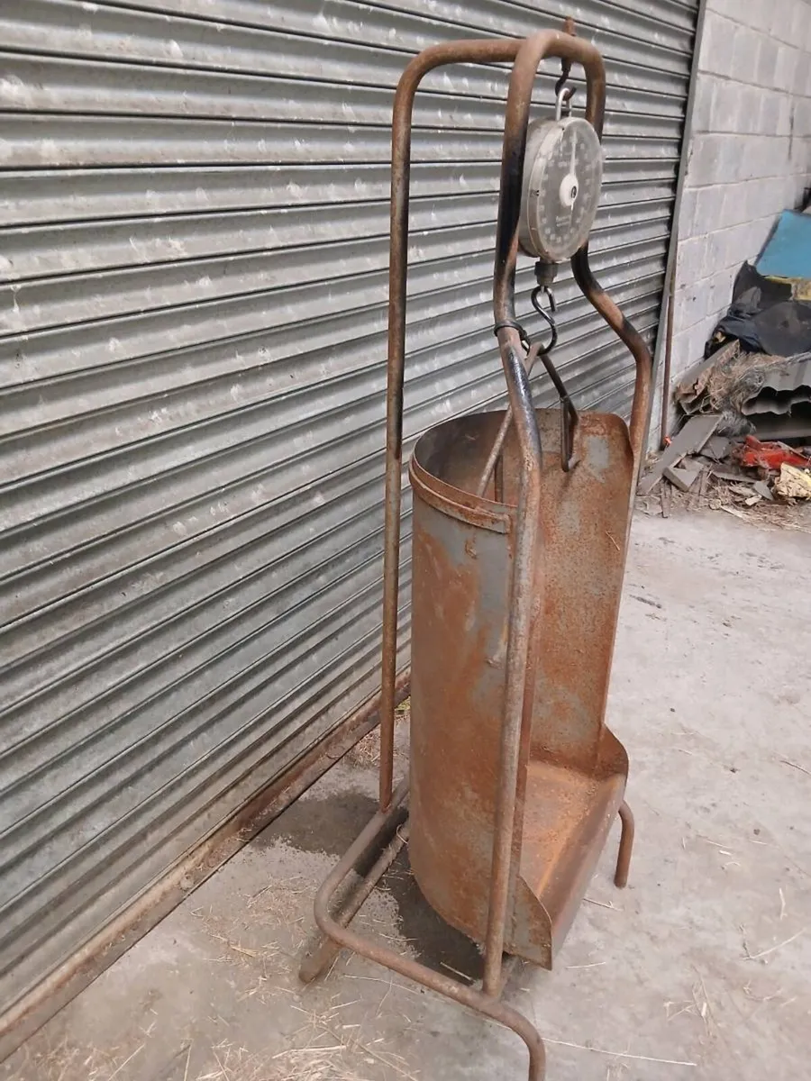 Lamb weighing scales - Image 3