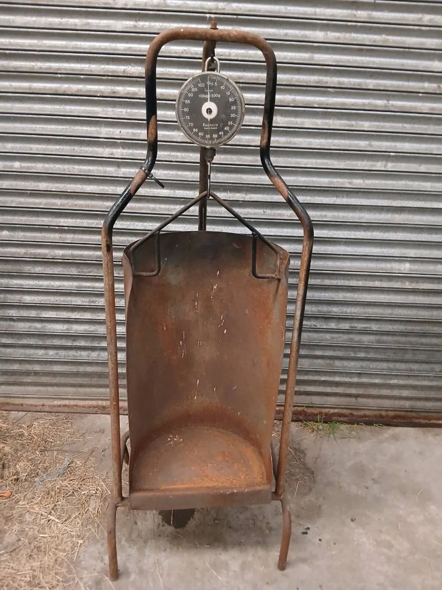 Lamb weighing scales - Image 4