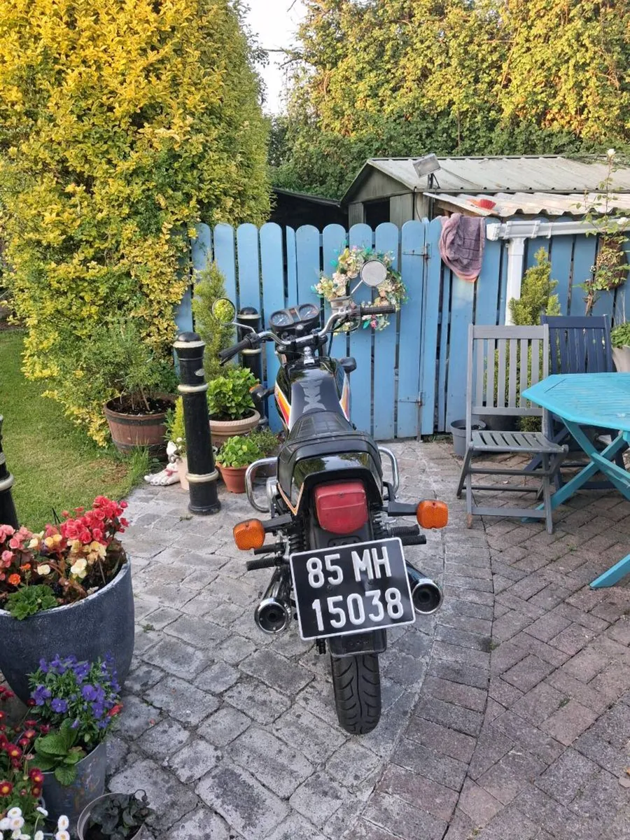 HONDA 250 N Superdream Deluxe - Image 2