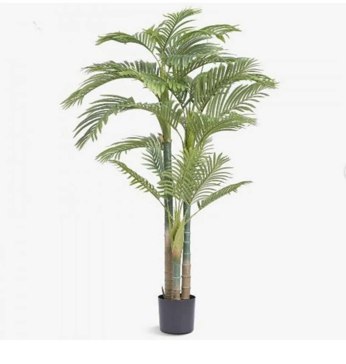 Artificial Gold Cane Palm Tree, 2m Tall Faux Plant - Image 1