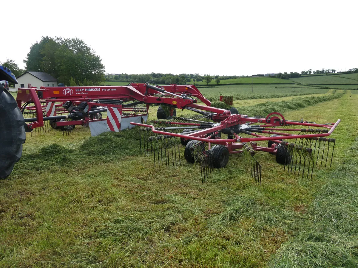 Lely Hibiscuis 915 Vario Rake - Image 3
