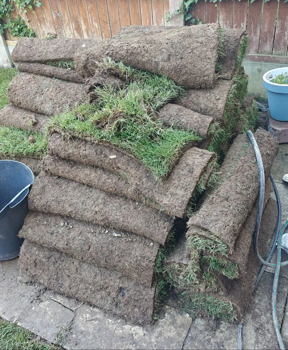 Premium Fresh Roll Out Grass from Summerhill Lawns