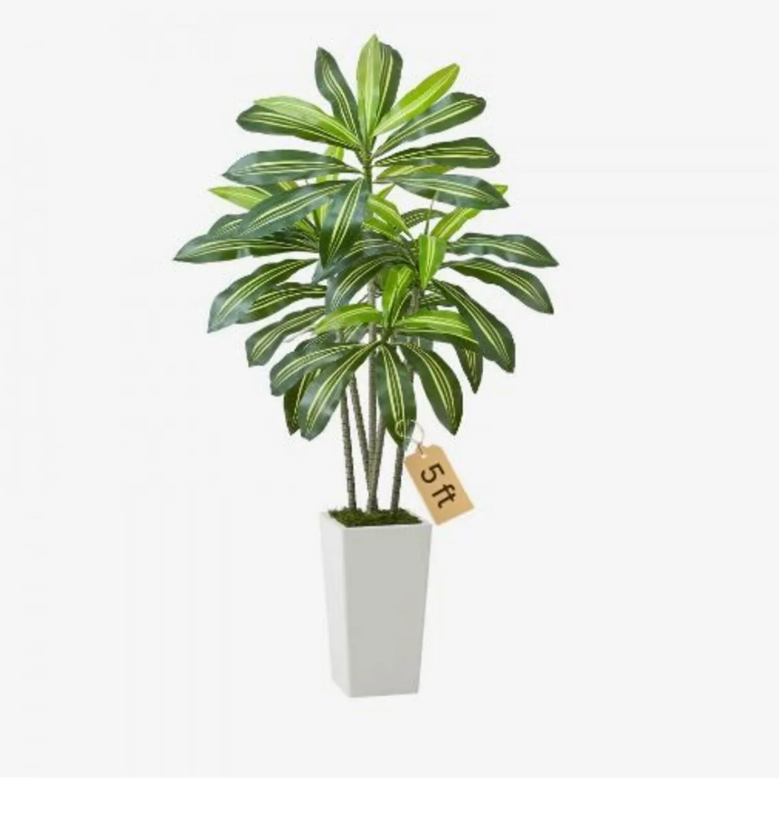 Artificial Dracaena Tree 1524 mm - Image 2