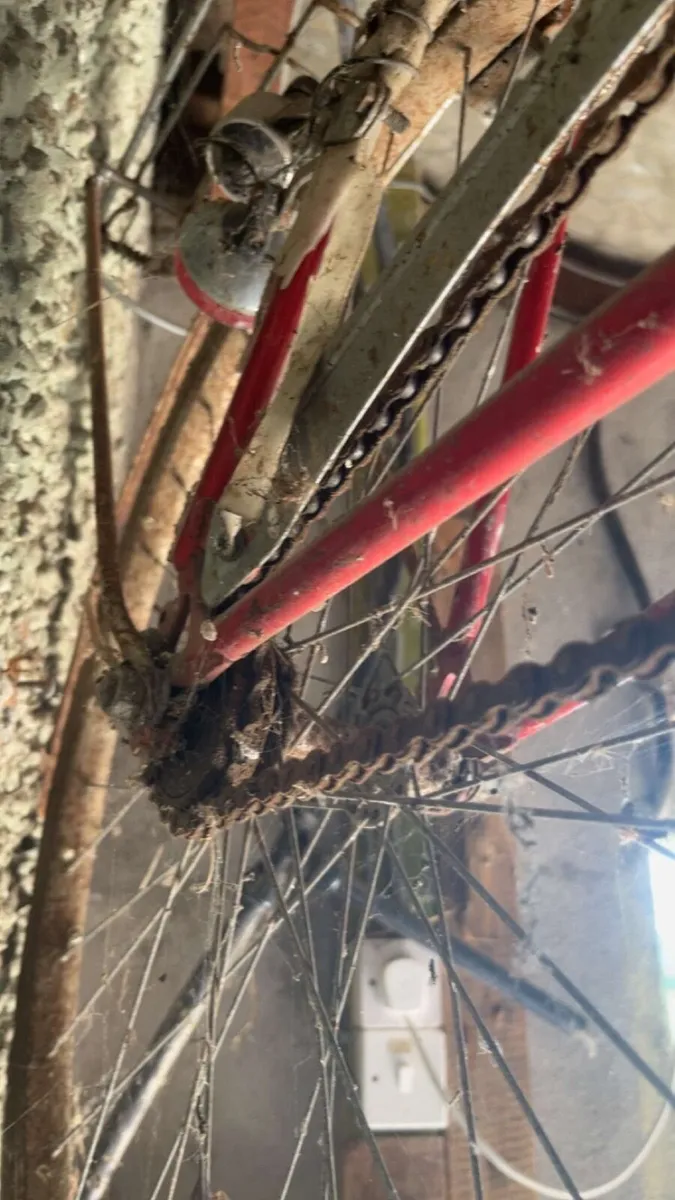 Vintage Elite Five Bicycle – Restoration Project - Image 2