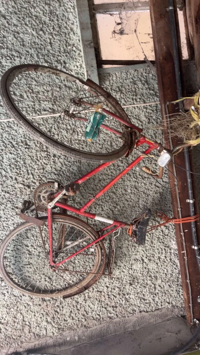 Vintage Elite Five Bicycle – Restoration Project - Image 4