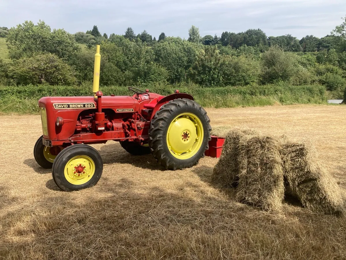 David brown 880 implematic - Image 2