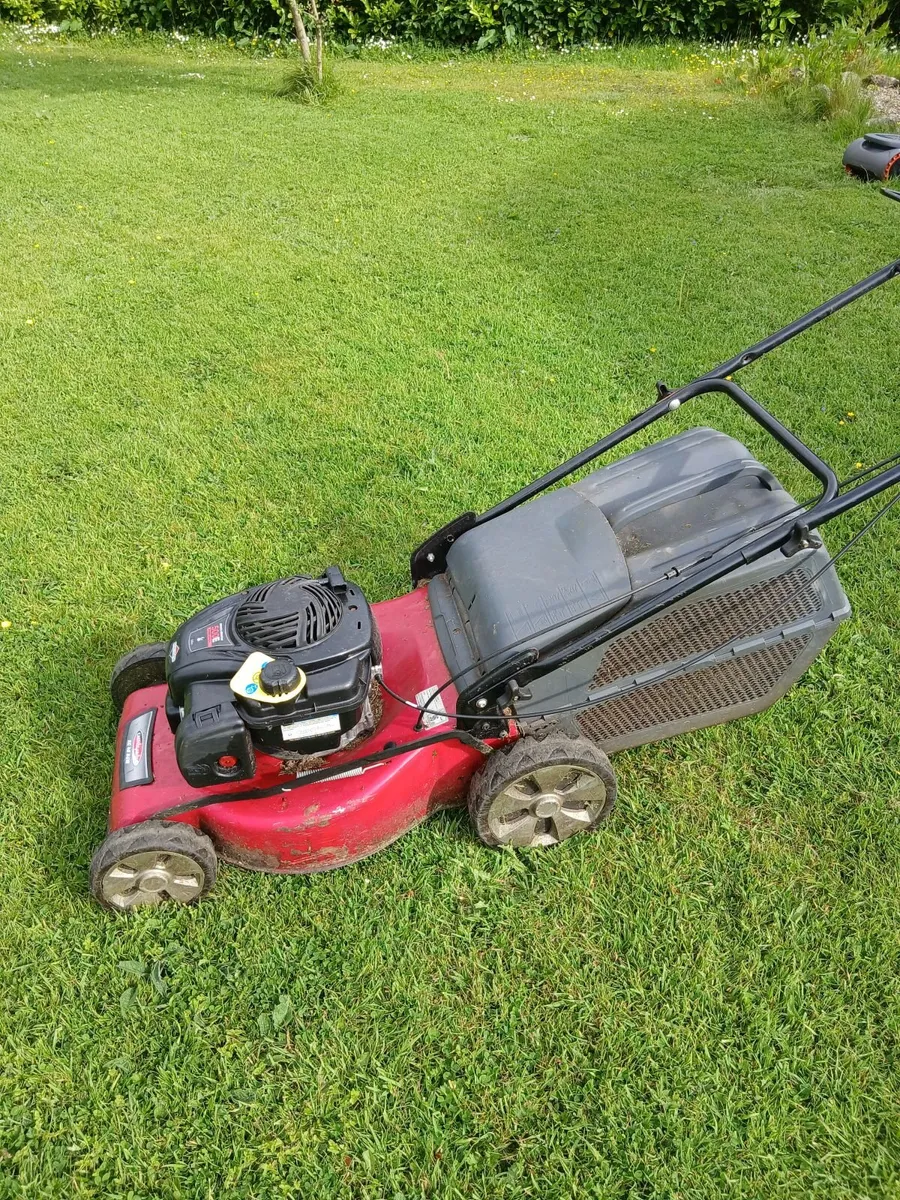 Lawnmower - Image 2